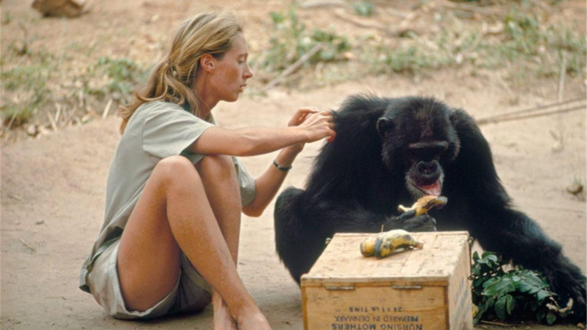 El regalo de compartir universo con Jane Goodall: “Estar con ella significaba sentir que el futuro era posible”