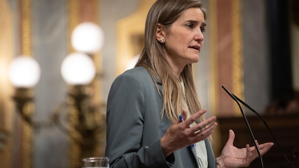 Aagesen contesta al PP tras bajarse del Congreso del Pacto de Estado contra el cambio climático: «Detenerlo sería injusto»