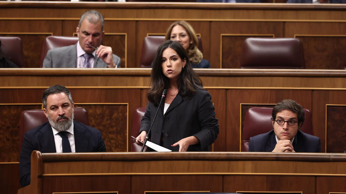 Los diputados de Vox cobran del Congreso las dietas internacionales que denuncian