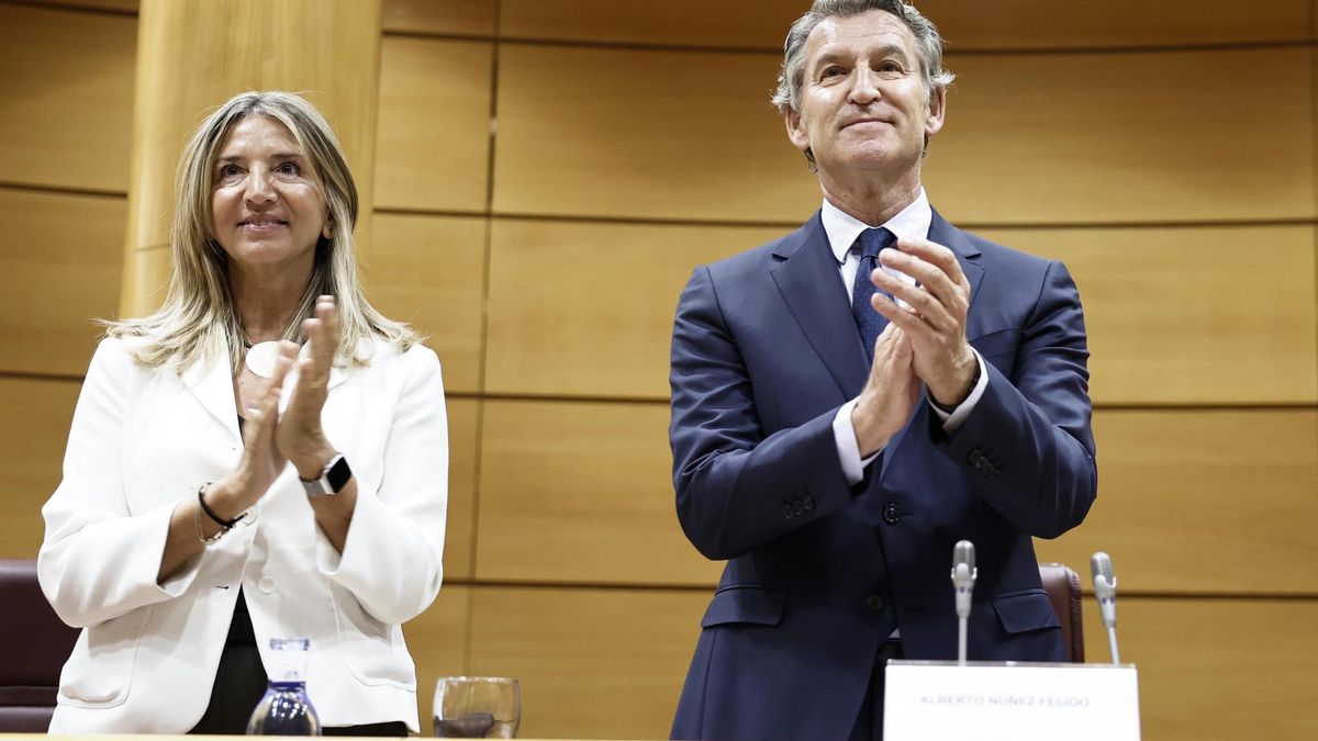 Se busca senador del PP para interrogar a Pedro Sánchez