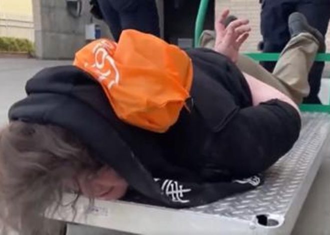 «¿No quieres andar? Te llevamos»: el vídeo del ICE con el que presume de su trato a los manifestantes