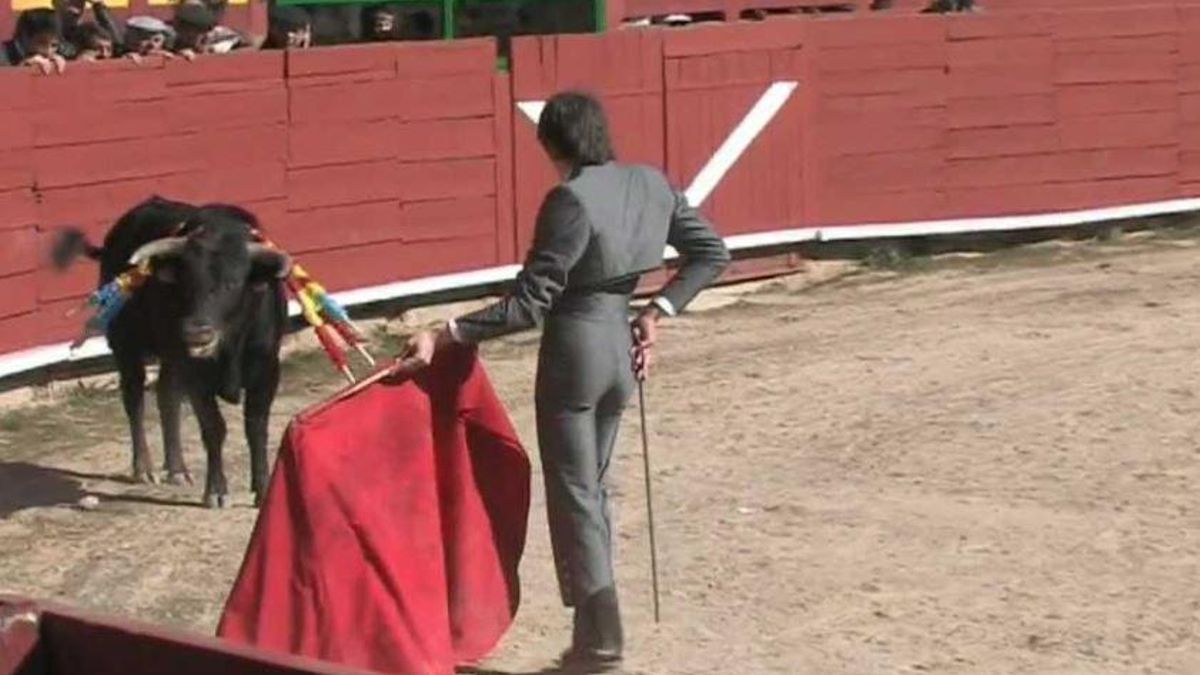 Acoso sexual en la Escuela de Tauromaquia de la Diputación de Salamanca: silencio, inacción política y sin un protocolo