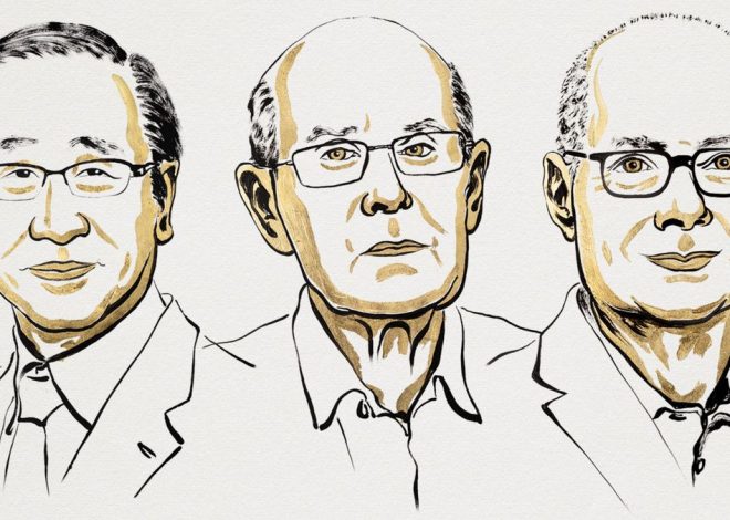 Premio Nobel de Química 2025 a los creadores de un nuevo tipo de arquitectura molecular