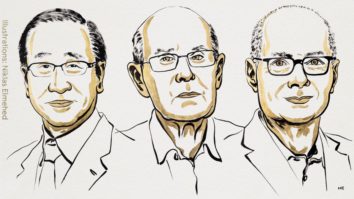 Premio Nobel de Química 2025 a los creadores de un nuevo tipo de arquitectura molecular