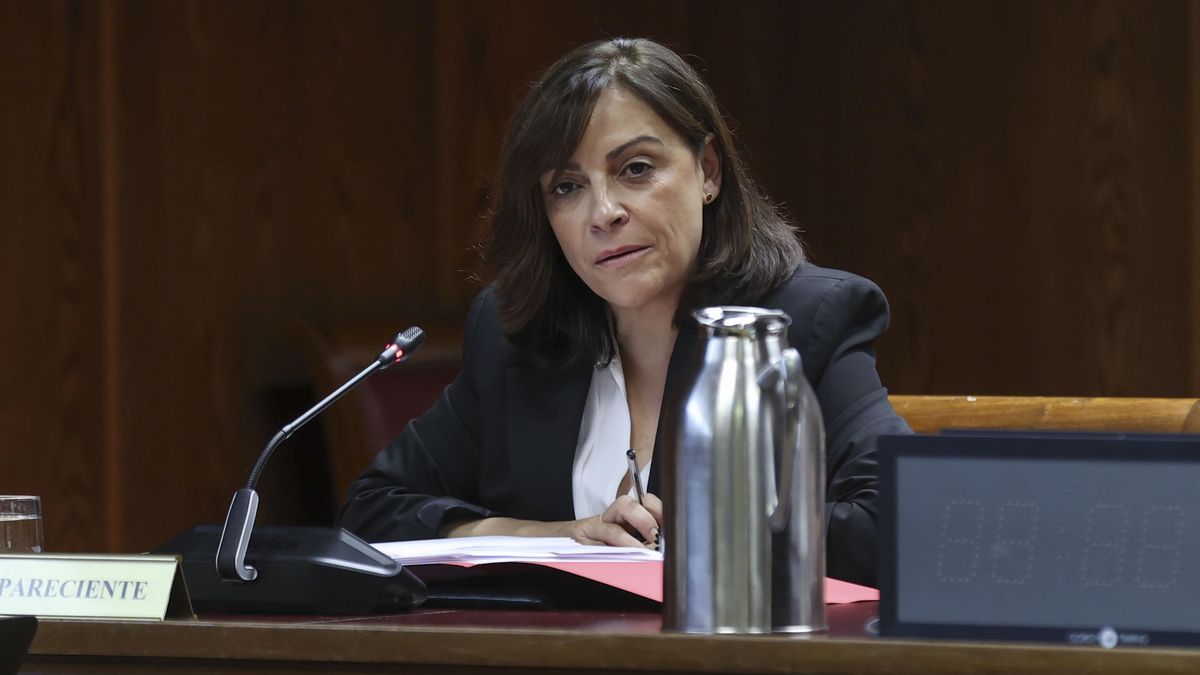 La gerente del PSOE, en el Senado: «En el PSOE no ha habido ningún pago en efectivo que no esté documentado»