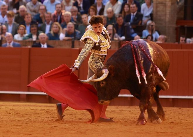 El Congreso rechaza que la tauromaquia deje de ser patrimonio cultural con la abstención decisiva del PSOE