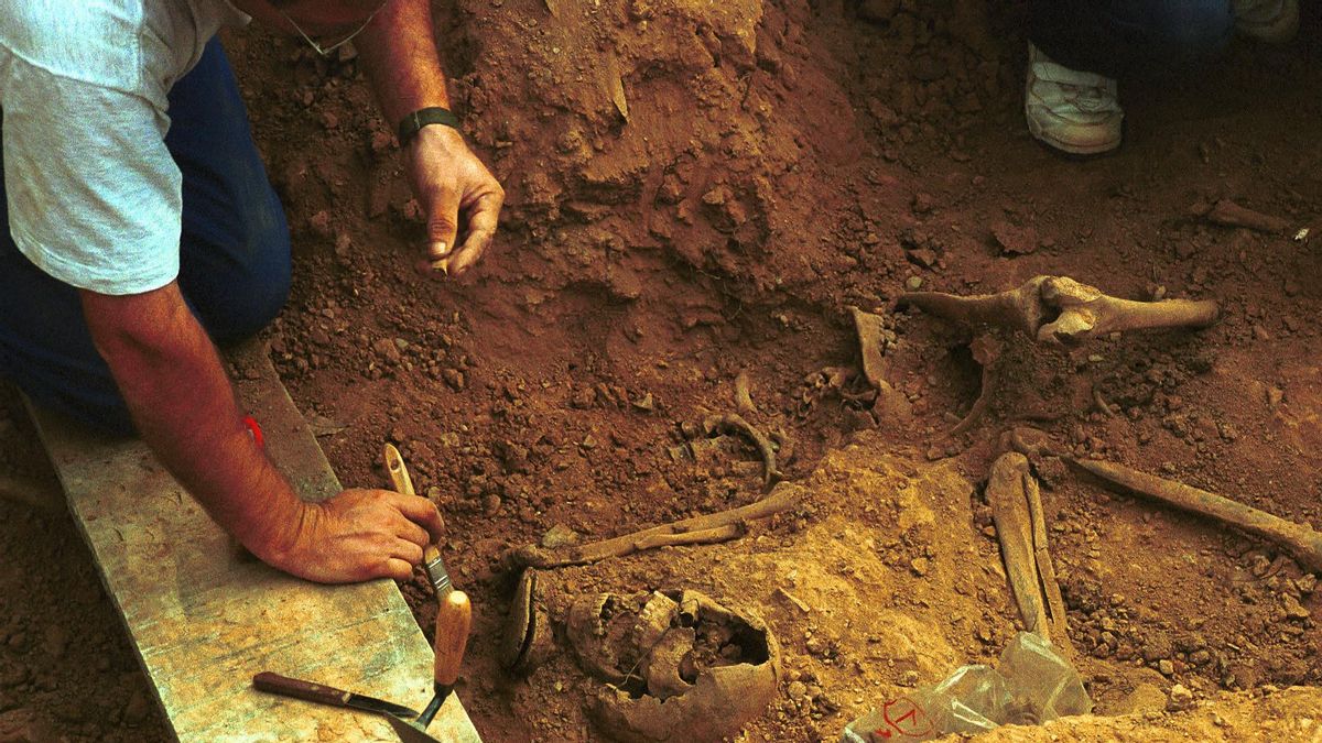 La exhumación que hace 25 años rompió el silencio de las fosas de Franco: «No imaginábamos la envergadura de esto»