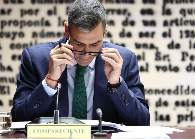 Trampa para osos en el Senado