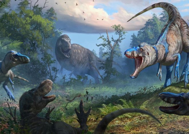Resuelven el misterio de los ‘tiranosaurios enanos’: no eran jóvenes ‘T. rex’, sino una especie diez veces más pequeña