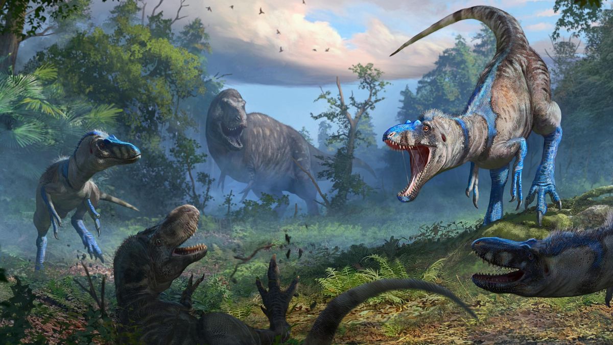Resuelven el misterio de los ‘tiranosaurios enanos’: no eran jóvenes ‘T. rex’, sino una especie diez veces más pequeña