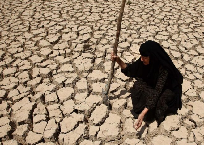 Ni mito ni avalancha: cuándo el cambio climático impulsa a migrar