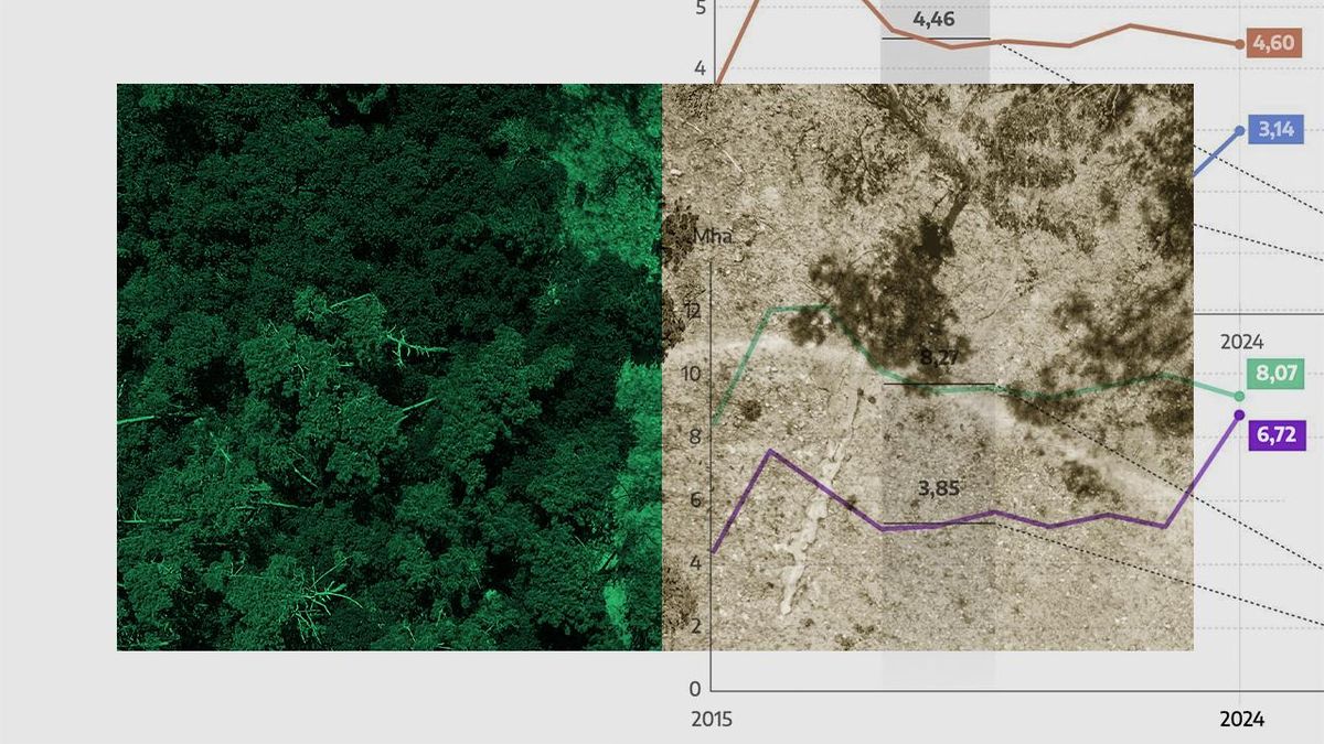 La destrucción de selva virgen en el mundo casi se dobla en un año