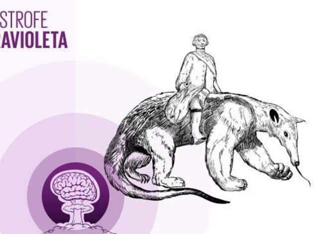 🎙 PODCAST | El misterioso caso del oso hormiguero de su majestad