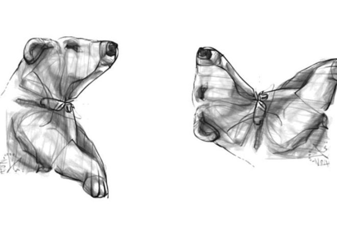 ¿Oso o mariposa? La IA crea nuevos ‘anagramas visuales’ para engañar al cerebro y estudiar nuestra percepción