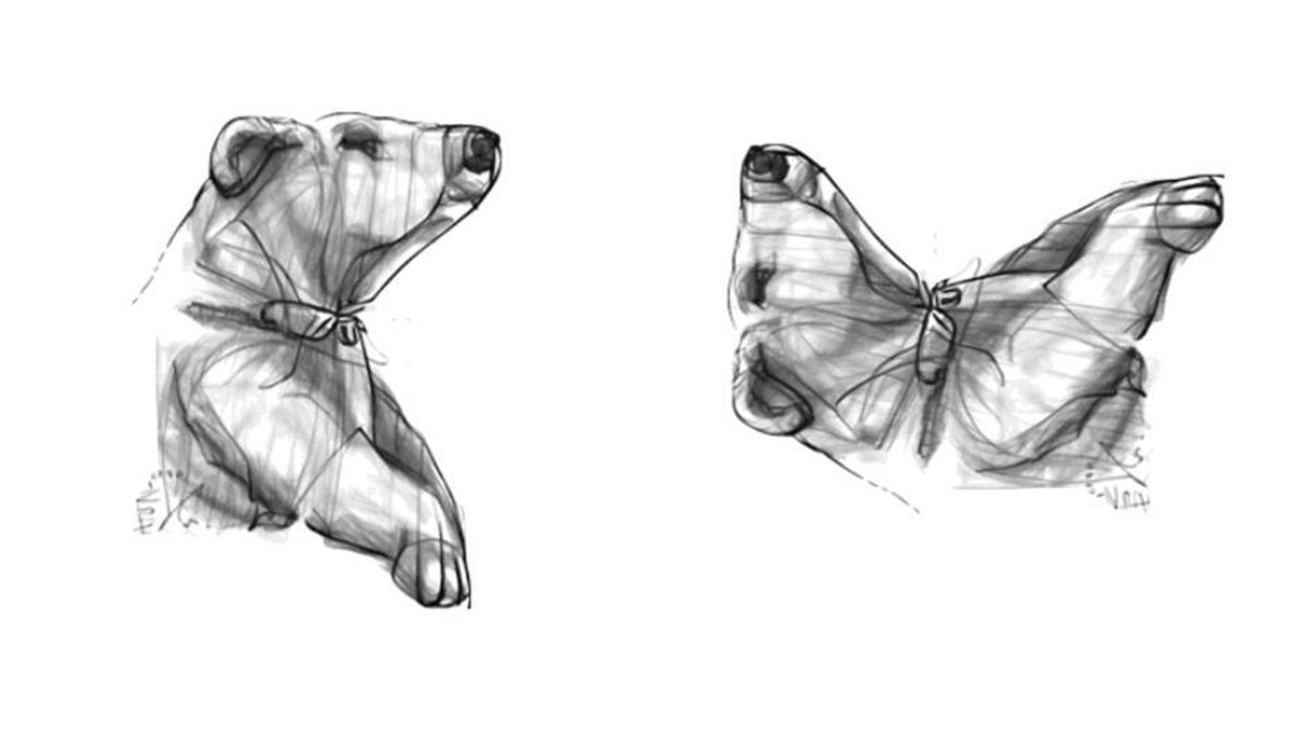 ¿Oso o mariposa? La IA crea nuevos ‘anagramas visuales’ para engañar al cerebro y estudiar nuestra percepción