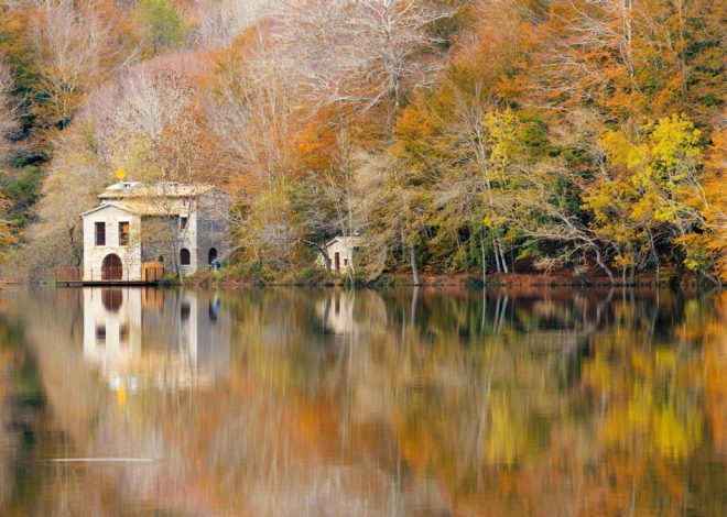 Montseny en otoño: un espectáculo de color a solo un paso de Barcelona