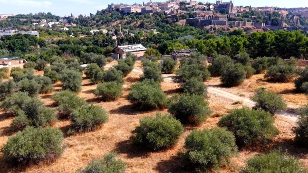 Una ‘Ciudad de Cine’ para Toledo a orillas del Tajo que no convence a los vecinos: «Ha sido un chimpún, sin alegaciones»