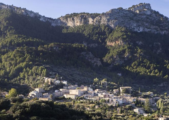 «Donde había viñas, ahora hay piscinas»: la amnistía de PP y Vox que amenaza el Patrimonio de la Humanidad de Mallorca