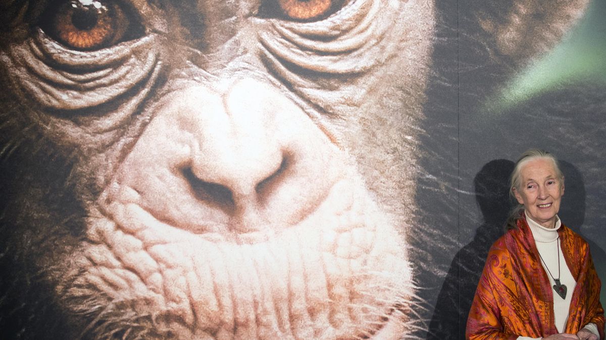 Escucha a Jane Goodall
