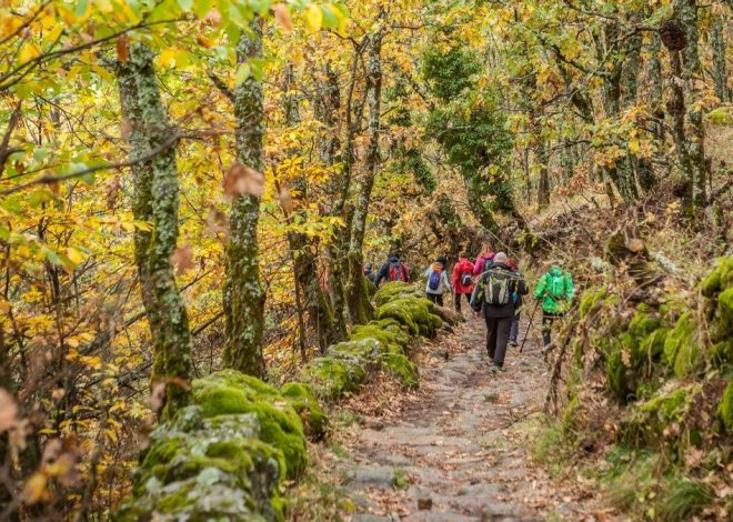 Otoño en el Valle del Ambroz: castaños, colores y pueblos tranquilos para una escapada