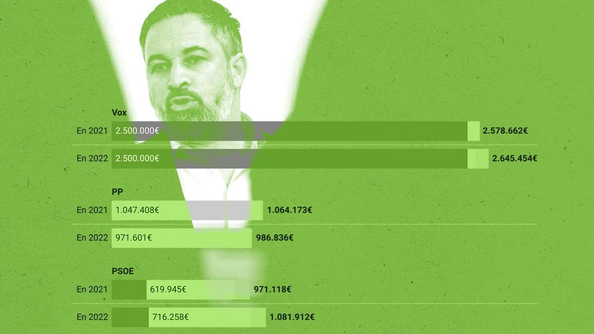 El Tribunal de Cuentas retrata a Vox como el único partido que traspasa millones a su fundación