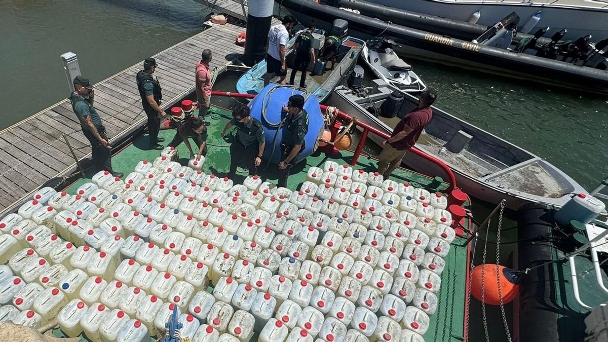 «Cada magistrado hace lo que quiere»: las diferencias entre jueces complican la lucha contra el petaqueo en Cádiz