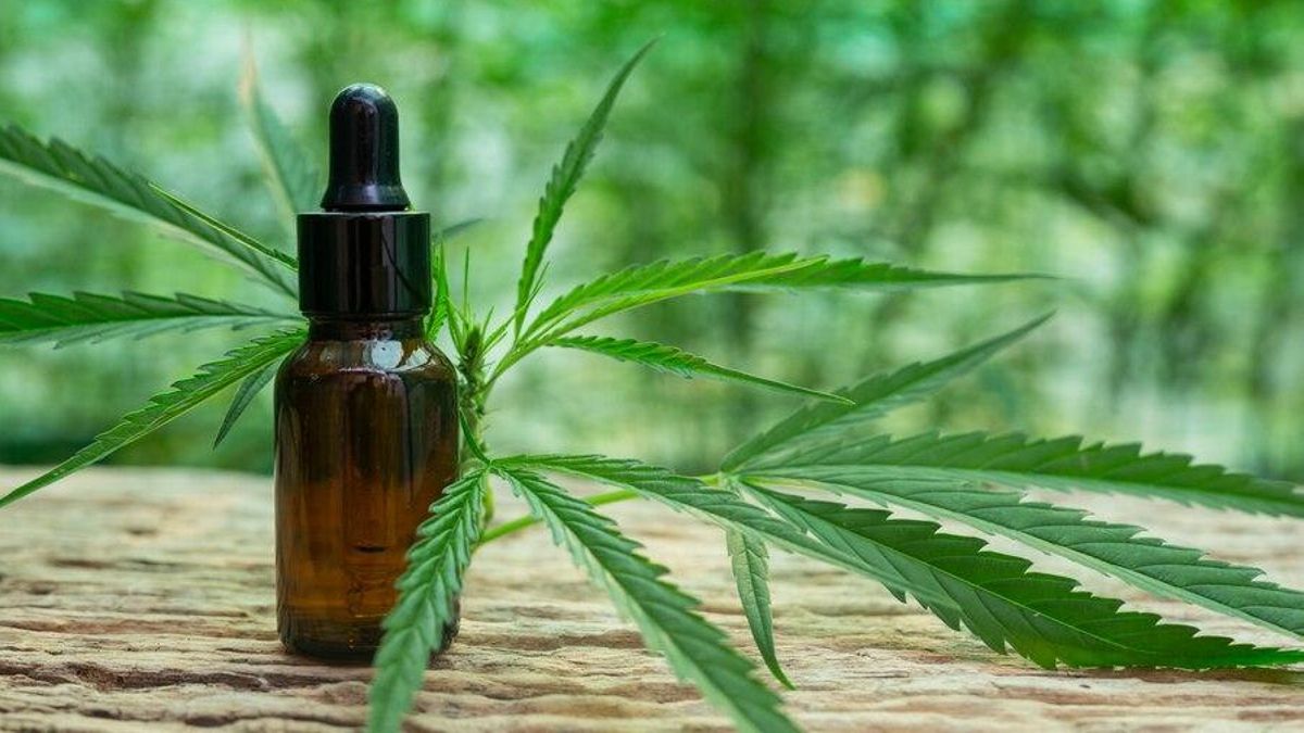 Las claves del programa de cannabis medicinal de España: aceites sí, cogollos no