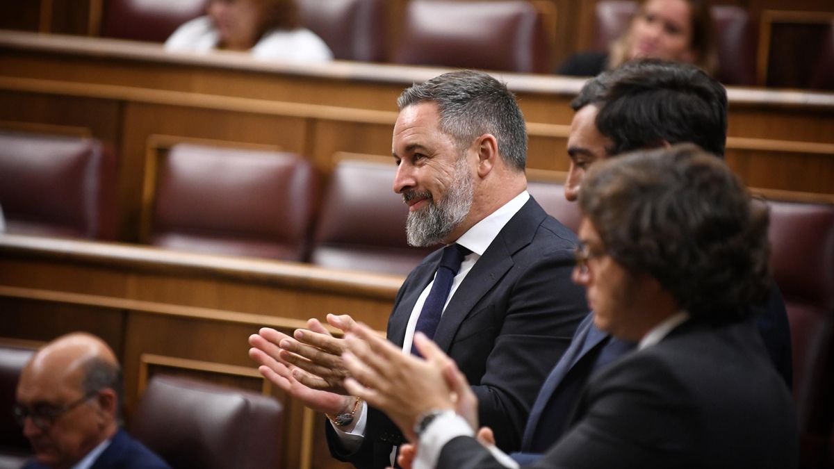 Descifrando la (nueva) Vox-manía