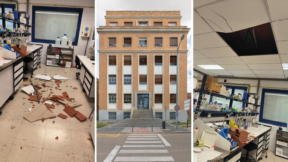 La universidad madrileña, hacia un punto de no retorno: «Si esta asfixia sigue no habrá marcha atrás en el deterioro»