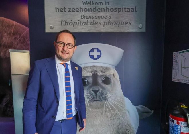 Obligan a callarse a un diputado belga que llevaba 23 horas hablando sin parar (con pizzas y gofres de menú)