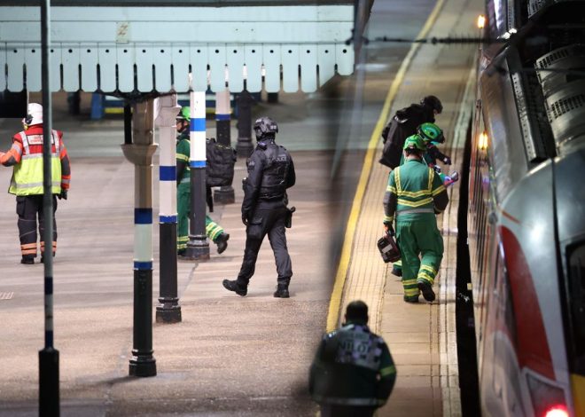 Nueve personas en estado crítico tras un apuñalamiento múltiple en un tren de Reino Unido