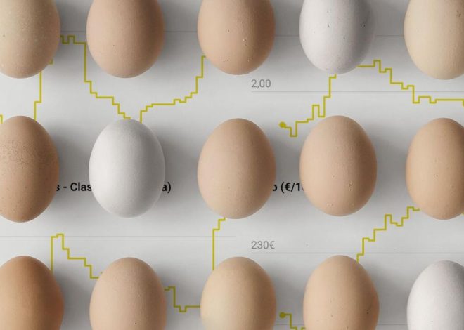 La gripe aviar dispara el precio del huevo y los productores temen la especulación: «No va a haber problemas de oferta»