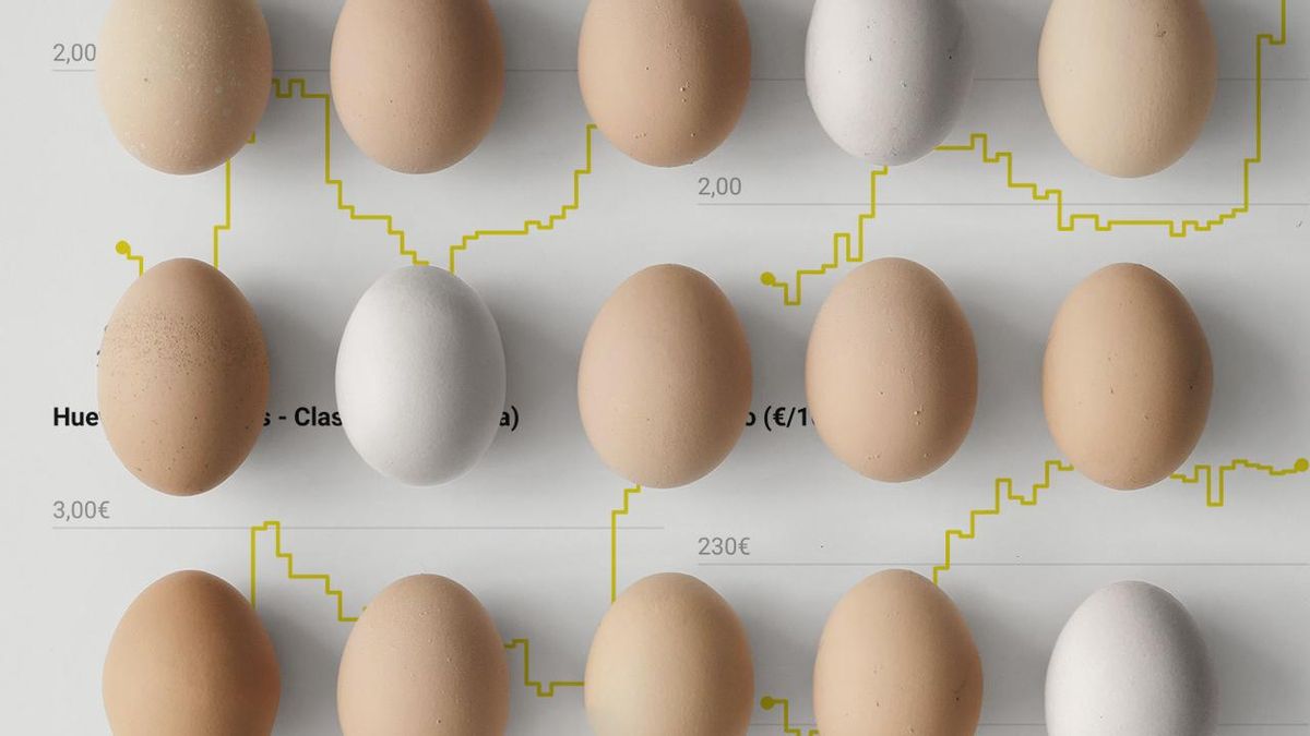 La gripe aviar dispara el precio del huevo y los productores temen la especulación: «No va a haber problemas de oferta»