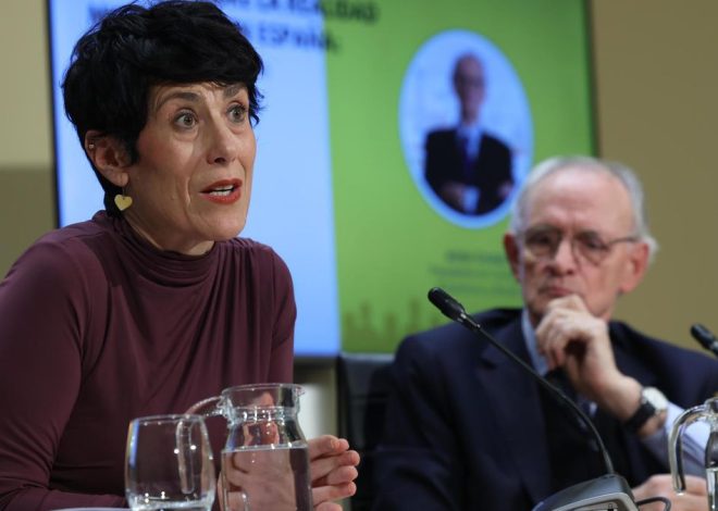 El Consejo Económico Social confirma que la llegada de inmigrantes potencia el crecimiento económico y la innovación en España