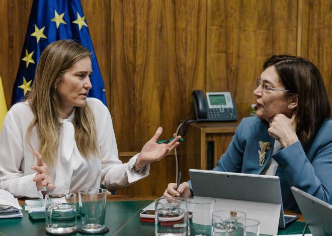 El Gobierno impone a Competencia que elabore los informes sobre el control de la tensión eléctrica que la CNMC rechazaba