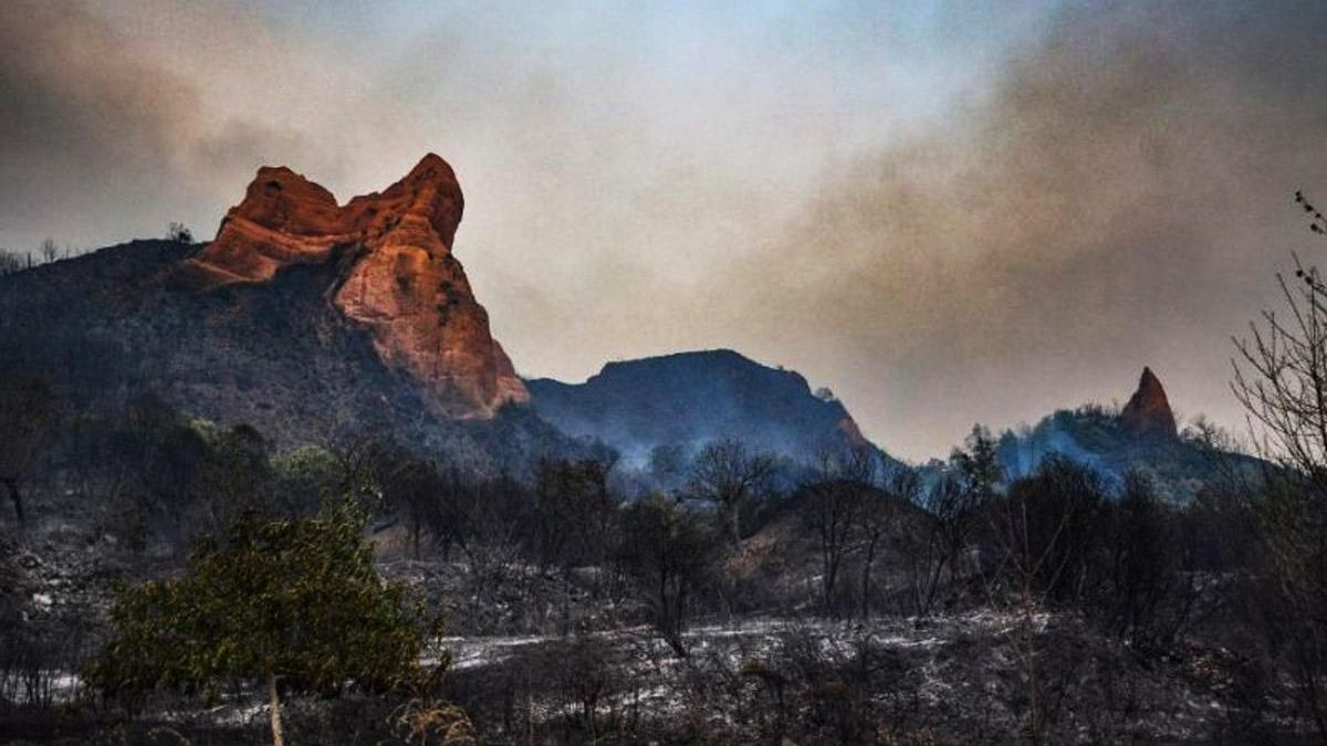 Tres meses de los peores incendios de Castilla y León: «Lo que antes valía ya no sirve, aunque la Junta no quiera reconocerlo»