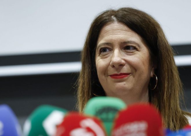 Leire Díez se presentó ante el fiscal Stampa como la «mano derecha» en la sombra de Santos Cerdán