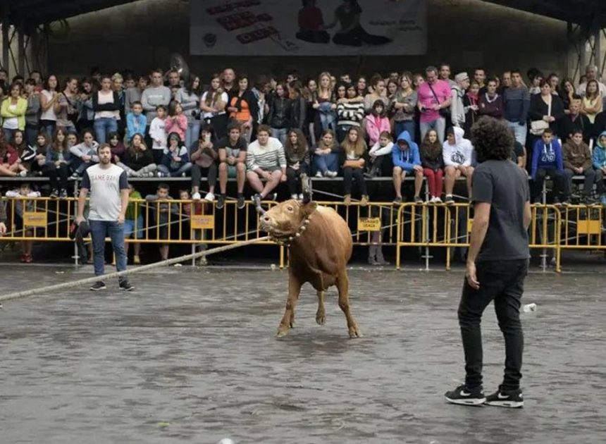 PNV y PSE-EE presentan una ley para conservar la “larga tradición de la tauromaquia popular” en Euskadi