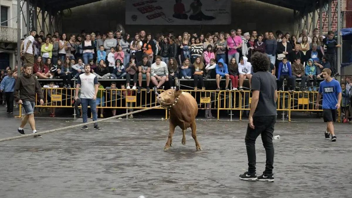 PNV y PSE-EE presentan una ley para conservar la “larga tradición de la tauromaquia popular” en Euskadi