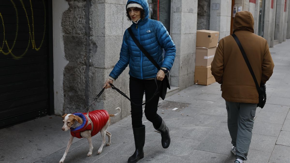 La Aemet advierte de lo peor del episodio invernal entre jueves y viernes: frío, nevadas y problemas para el transporte