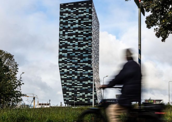 China abre la mano para que Nexperia vuelva a mandar chips a la industria del automóvil