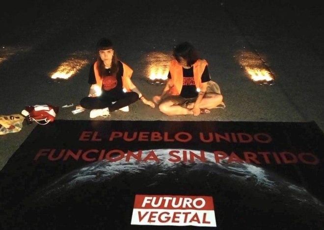 Un juez manda al banquillo a dos activistas de Futuro Vegetal y un periodista por su protesta en Barajas