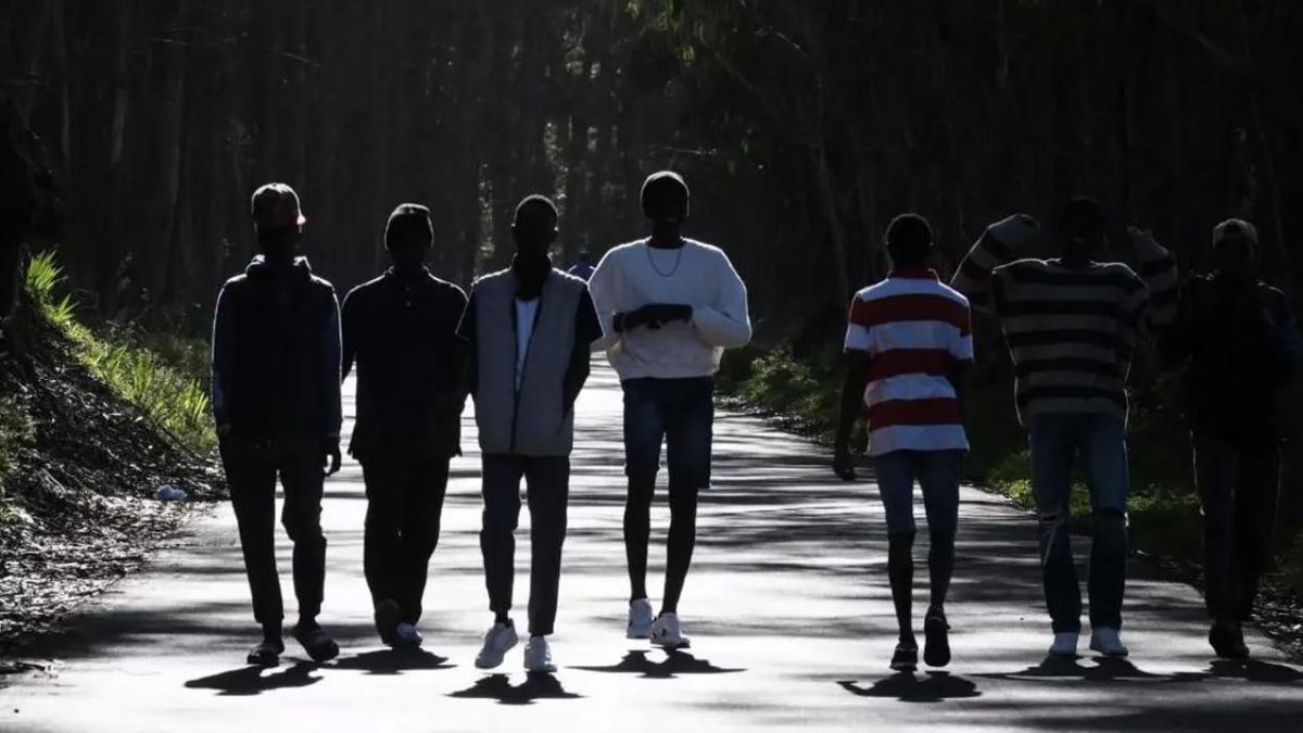 Desmantelada una red de tráfico de menores migrantes tras la desaparición de 14 niños de centros de Canarias