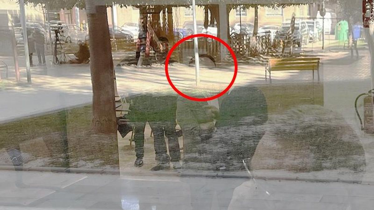 Pérez Llorca declara a la jueza que llamó a Mazón en plena dana para preguntar por Utiel y que él le informó sobre otra zona