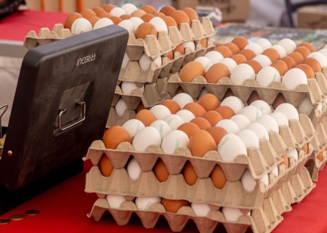 La inflación sube al 3,1% en octubre presionada por la electricidad, el transporte y los huevos