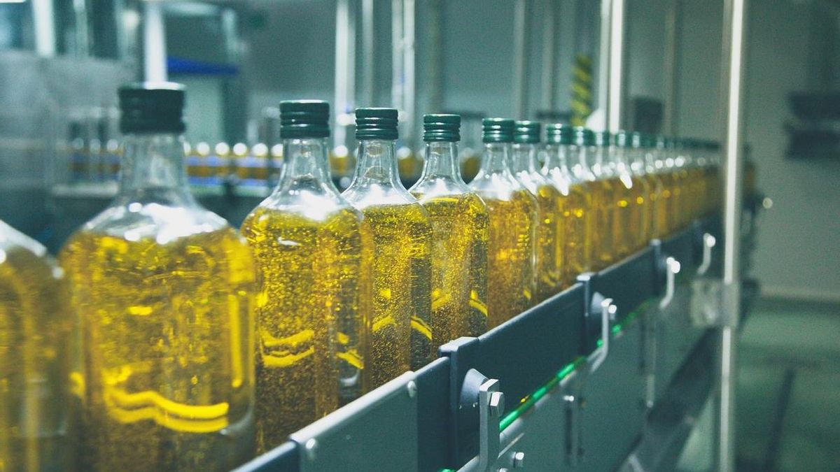 La mayor cooperativa de aceite de oliva prevé un año de precios entre 4 y 4,5 euros y una cosecha menor de la esperada
