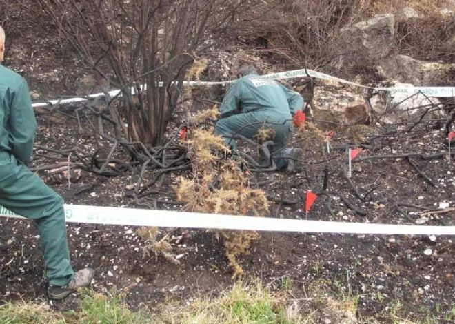 Máxima petición de pena a un pirómano en Asturias: 13 años de cárcel por un incendio provocado en el monte Naranco