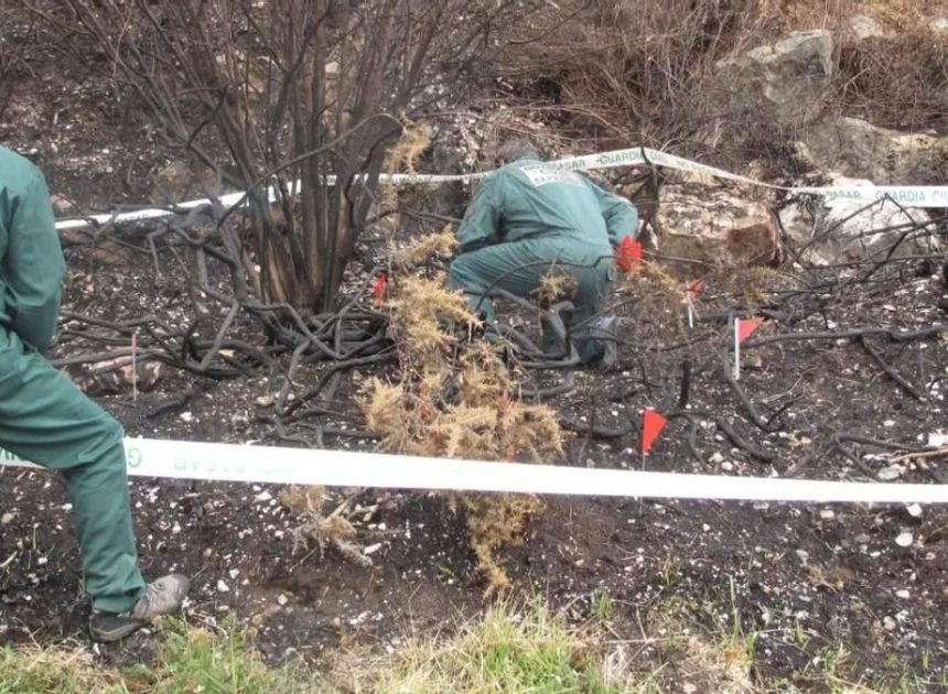 Máxima petición de pena a un pirómano en Asturias: 13 años de cárcel por un incendio provocado en el monte Naranco