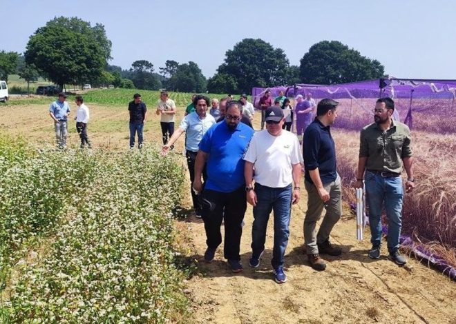 El talento huye ante los síntomas de desmantelamiento del único centro de investigación agrario de la Xunta