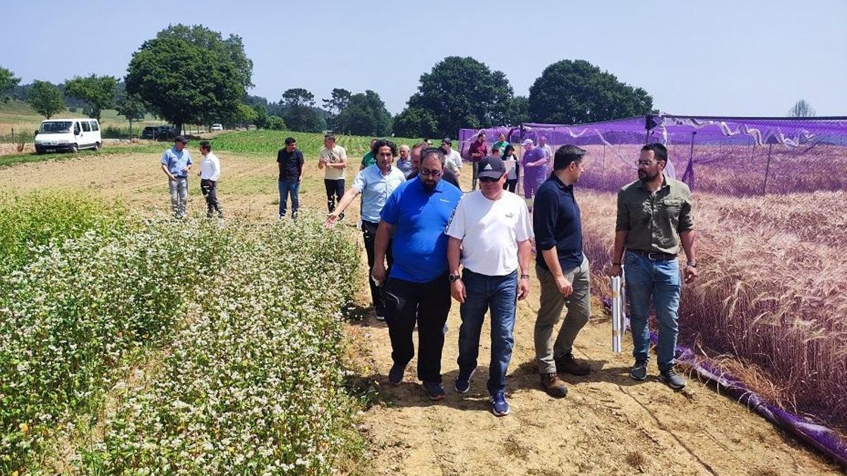 El talento huye ante los síntomas de desmantelamiento del único centro de investigación agrario de la Xunta